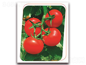 ������-���ѷN��-����(y��u)�r(n��ng)�I(y��)