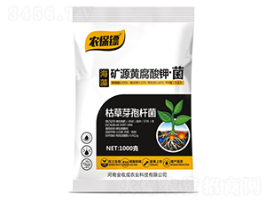 �VԴ�S����⛡���-�r(n��ng)���S-���ճ�