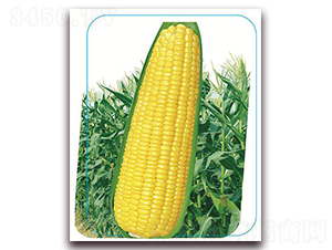 �փ�(y��u)���SŴ3000-Ŵ���׷N��-����(y��u)�r(n��ng)�I(y��)