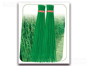 ����5̖(h��o)-�����N��-����(y��u)�r(n��ng)�I(y��)