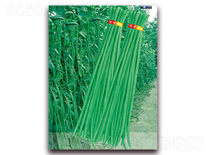 �G����-�����N��-����(y��u)�r(n��ng)�I(y��)