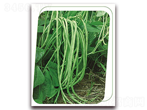 �o(w��)��49-�����N��-����(y��u)�r(n��ng)�I(y��)