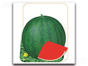 �K��-���ϷN��-����(y��u)�r(n��ng)�I(y��)