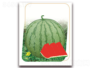 ��(gu��)��-���ϷN��-����(y��u)�r(n��ng)�I(y��)