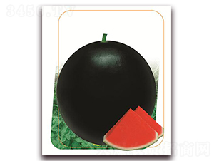 ���~(y��)ʮ��-���ϷN��-����(y��u)�r(n��ng)�I(y��)