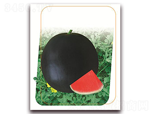 ���~(y��)ʮ��-���ϷN��-����(y��u)�r(n��ng)�I(y��)