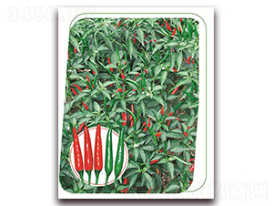 �η�-�����N��-����(y��u)�r(n��ng)�I(y��)