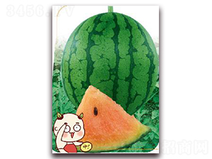 ���-���ϷN��-����(y��u)�r(n��ng)�I(y��)