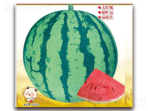 �㶼��̖(h��o)-���ϷN��-����(y��u)�r(n��ng)�I(y��)