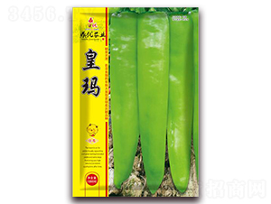 �ʬ�-�����N��-����(y��u)�r(n��ng)�I(y��)