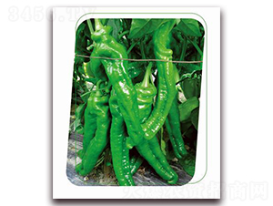 ���e7̖(h��o)-�����N��-����(y��u)�r(n��ng)�I(y��)