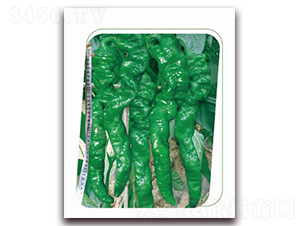 ����һ̖(h��o)-�����N��-����(y��u)�r(n��ng)�I(y��)