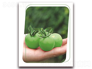 �Gؐ-���ѷN��-����(y��u)�r(n��ng)�I(y��)