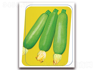 ����-�����J�N��-����(y��u)�r�I(y��)