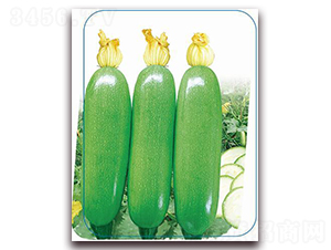 ����35-�����J�N��-����(y��u)�r�I(y��)