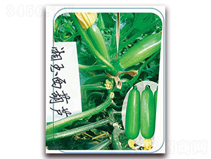 ����-�����J�N��-����(y��u)�r�I(y��)