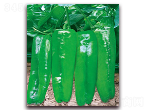 ����(y��u)8̖(h��o)-�����N��-����(y��u)�r(n��ng)�I(y��)