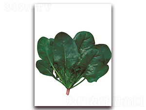 ���-���˷N��-����(y��u)�r(n��ng)�I(y��)