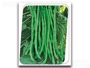 ����(gu��)�ܶ���-�����N��-����(y��u)�r(n��ng)�I(y��)