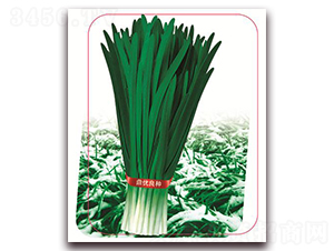 �փ�(y��u)ѩ��һ̖(h��o)-�~�˷N��-����(y��u)�r(n��ng)�I(y��)