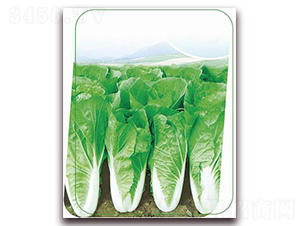 �փ�(y��u)���v-�~�˷N��-����(y��u)�r(n��ng)�I(y��)