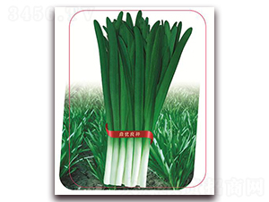 �־�9̖(h��o)-�~�˷N��-����(y��u)�r(n��ng)�I(y��)