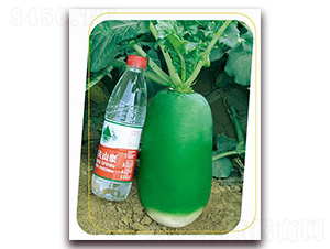 ����G�S-�}���N��-����(y��u)�r(n��ng)�I(y��)