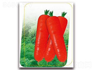 ���t�ߴ�-���}���N��-����(y��u)�r(n��ng)�I(y��)