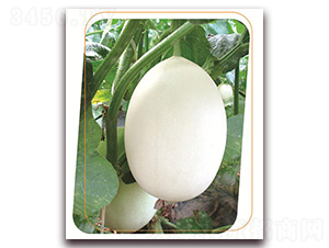 ��ѩ����-��ϷN��-����(y��u)�r(n��ng)�I(y��)