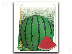 ��¶-���ϷN��-����(y��u)�r(n��ng)�I(y��)