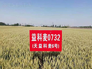 �������6̖-С���N��-�A��