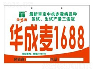 �A����1688-С���N��-�A��