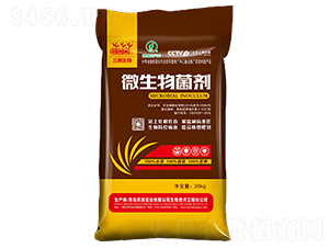 10�|΢�������-�G����-�����_(d��)