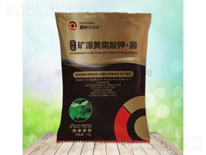 ���塤�VԴ�S����⛡���-Ӣ�����R˹