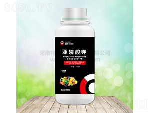 �������-Ӣ�����R˹