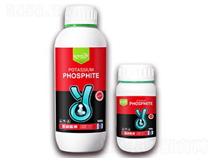 �������-ӯ��(r��n)�r(n��ng)�I(y��)