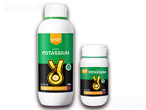 ����(j��)�-ӯ��(r��n)�r(n��ng)�I(y��)