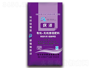 ���ߌ�����������ЙC-�o�C�������23-10-12-�c��