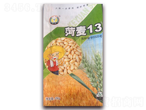 ����13-С���N��-��Դ�N�I(y��)