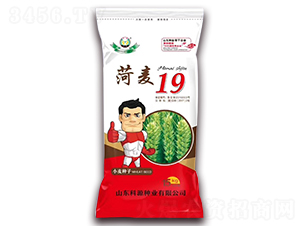 ����19-С���N��-��Դ�N�I(y��)