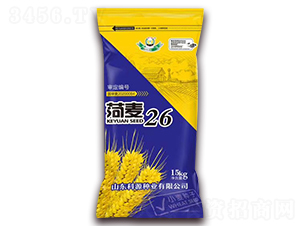 ����26-С���N��-��Դ�N�I(y��)