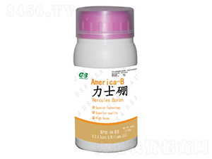 ľ�|(zh��)�Ǵ����w��-��ʿ��-���A��