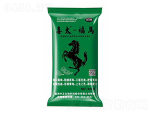 ���R-�_��ϲ̫-���A��