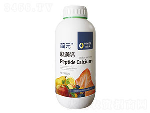 �����}-��(ji��n)Ԫ-������