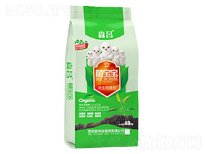 ΢�������-������-ɭ��