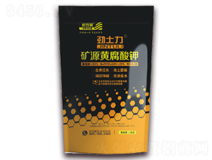 �VԴ�S�����-������-�A�S����