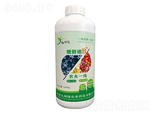 �Ǵ���-�r(n��ng)��һ��-���ݾG�r(n��ng)�I(y��)