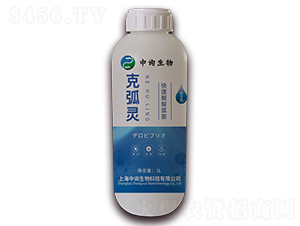 1L�����ѽ⻡��-�˻��`-��ԃ����