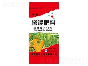 �������28-6-6-����