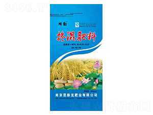 �������20-10-10-����